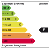 Diagnostic de performance énergétique (DPE) niveau E