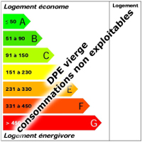Diagnostic de performance énergétique (DPE) vierge